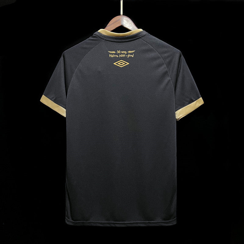 Camiseta Associação Chapecoense 2023 2024