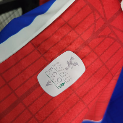 Crystal Palace maillot domicile 2023 2024