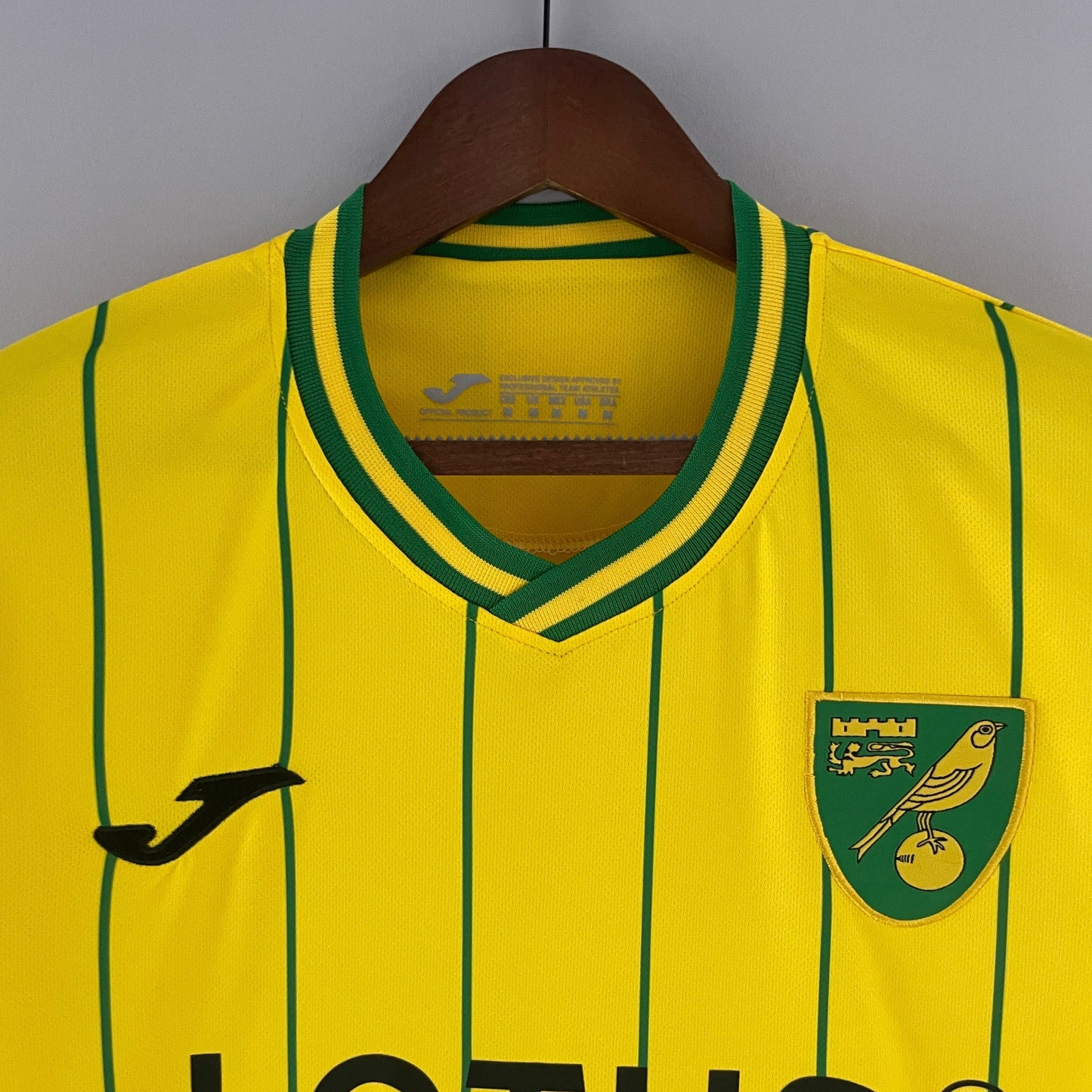 Norwich maillot domicile 2022/23