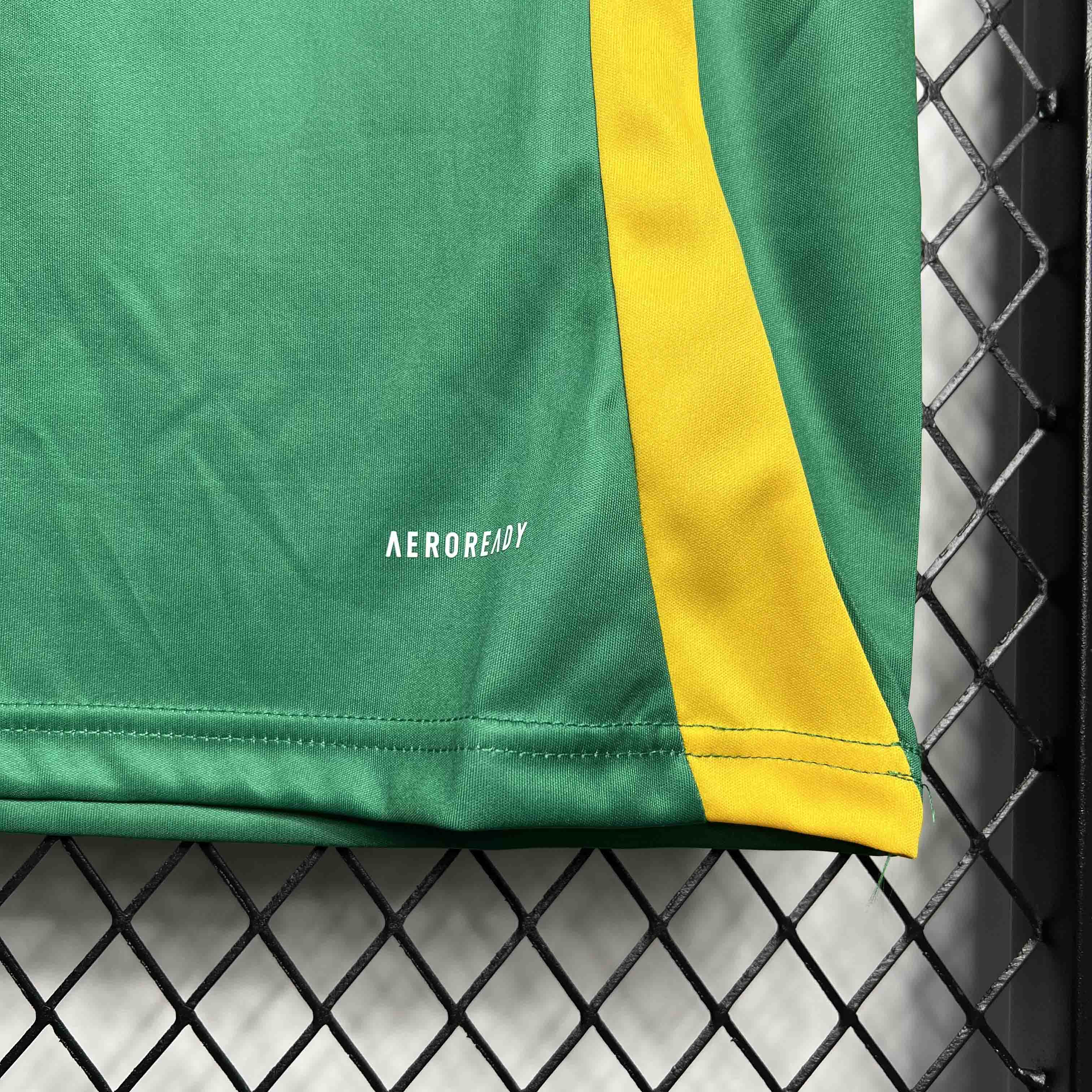 Camiseta entrenamiento jamaica 2023 2024
