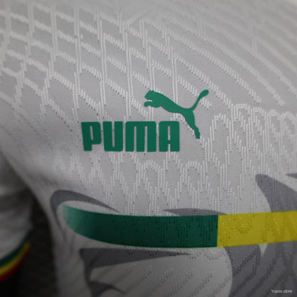 Camiseta senegal futbol 2023 2024