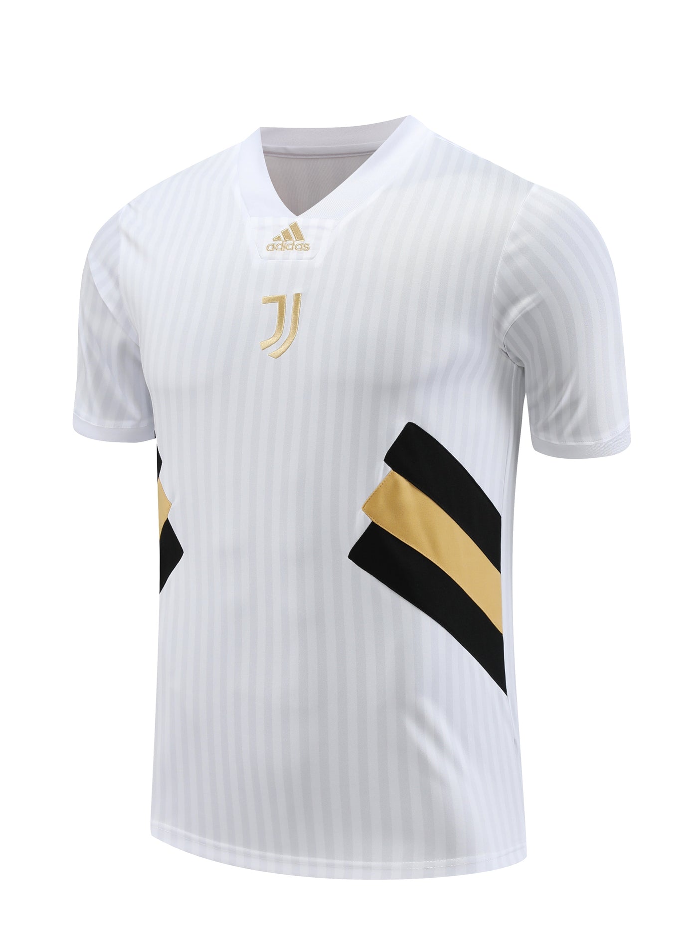 Maglia Allenamento Juventus 23/24