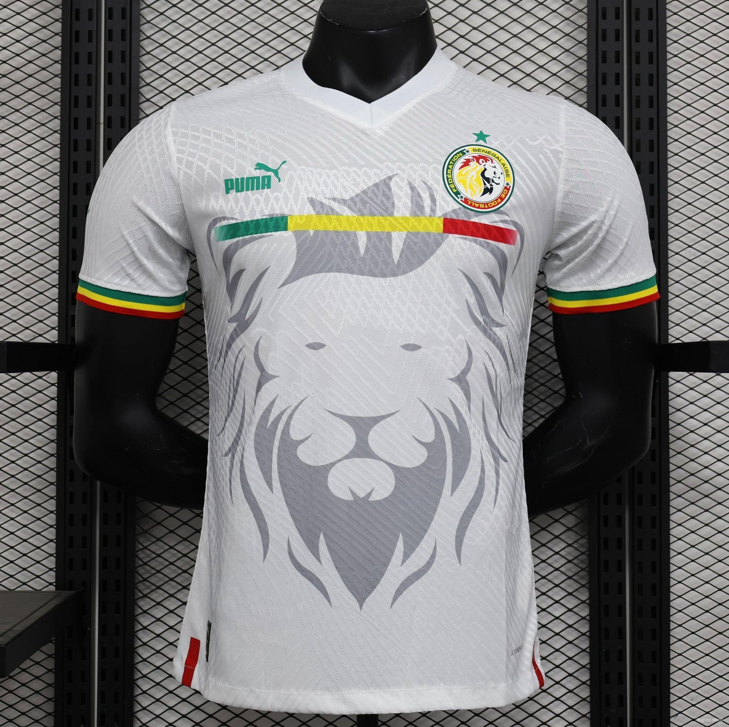 Sénégal maillot foot 2023 2024