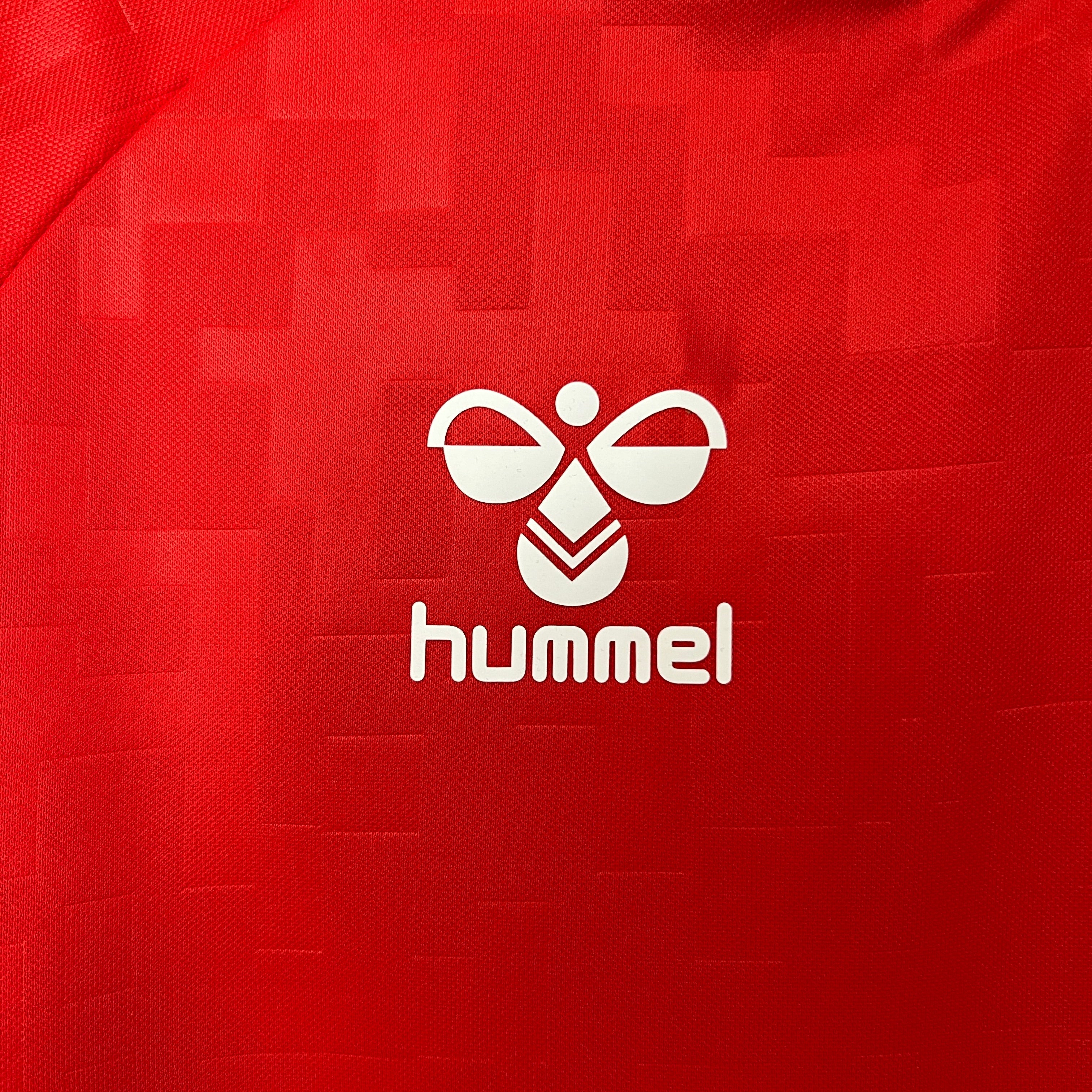 Maglia Danimarca Home 2024/2025