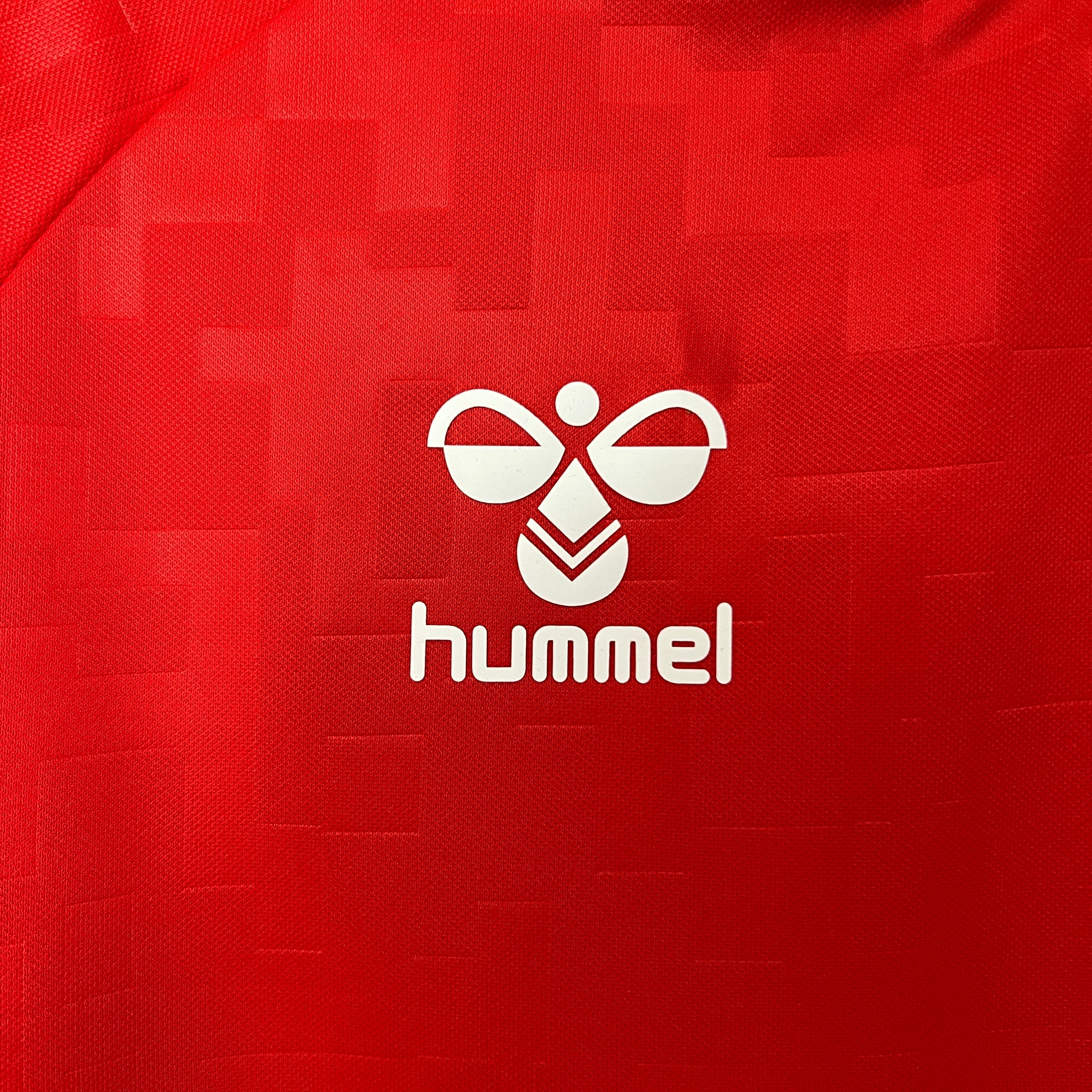 Maillot Danemark Domicile 2024/2025