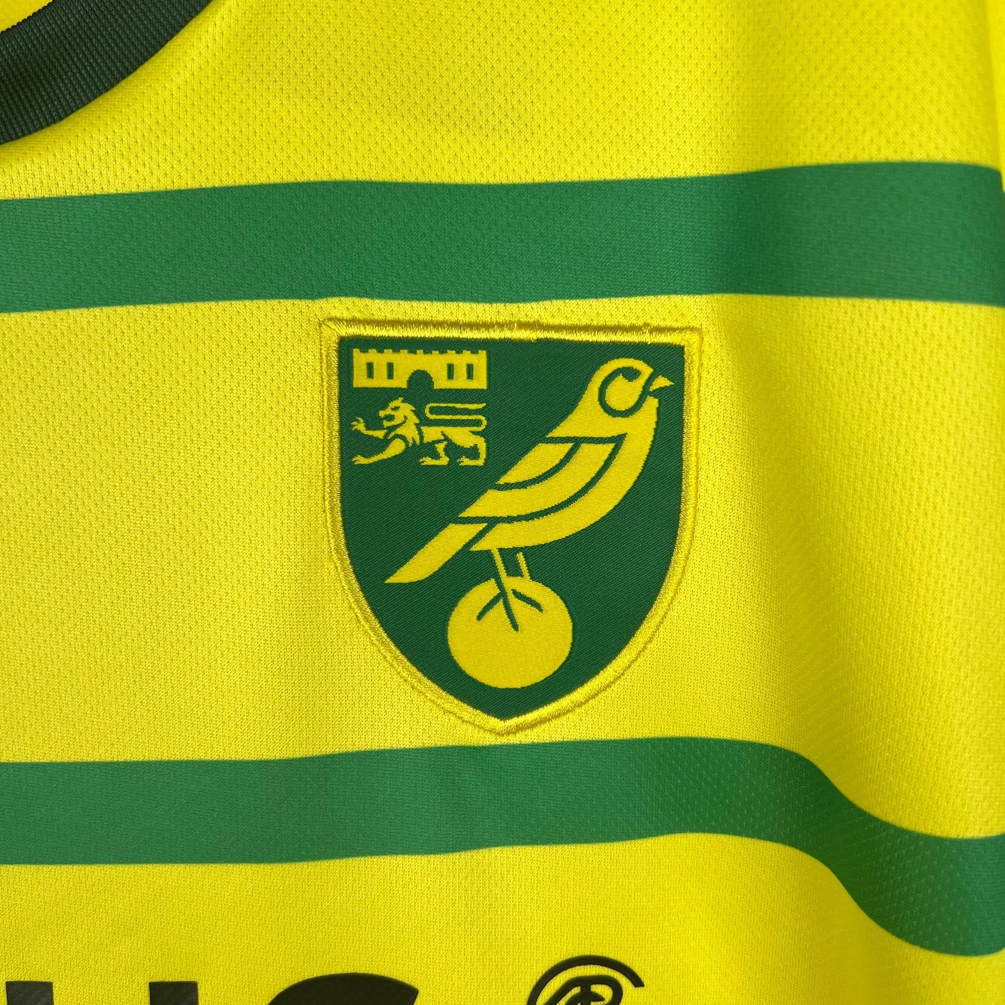 Camiseta Norwich Primera Equipación 2023 2024