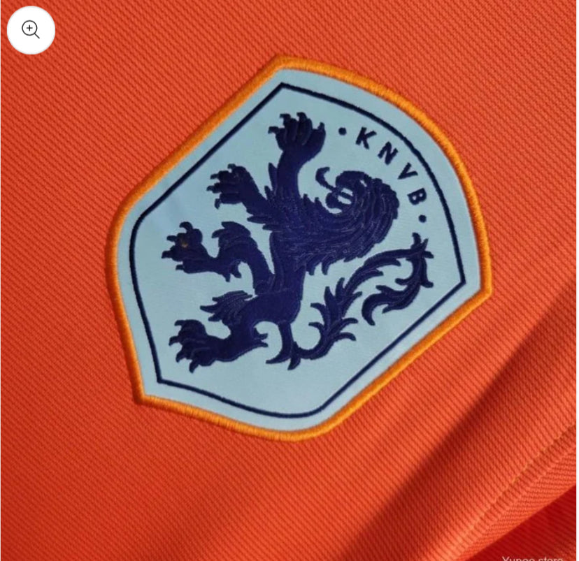 Maillot Pays Bas 2024/2025 Domicile