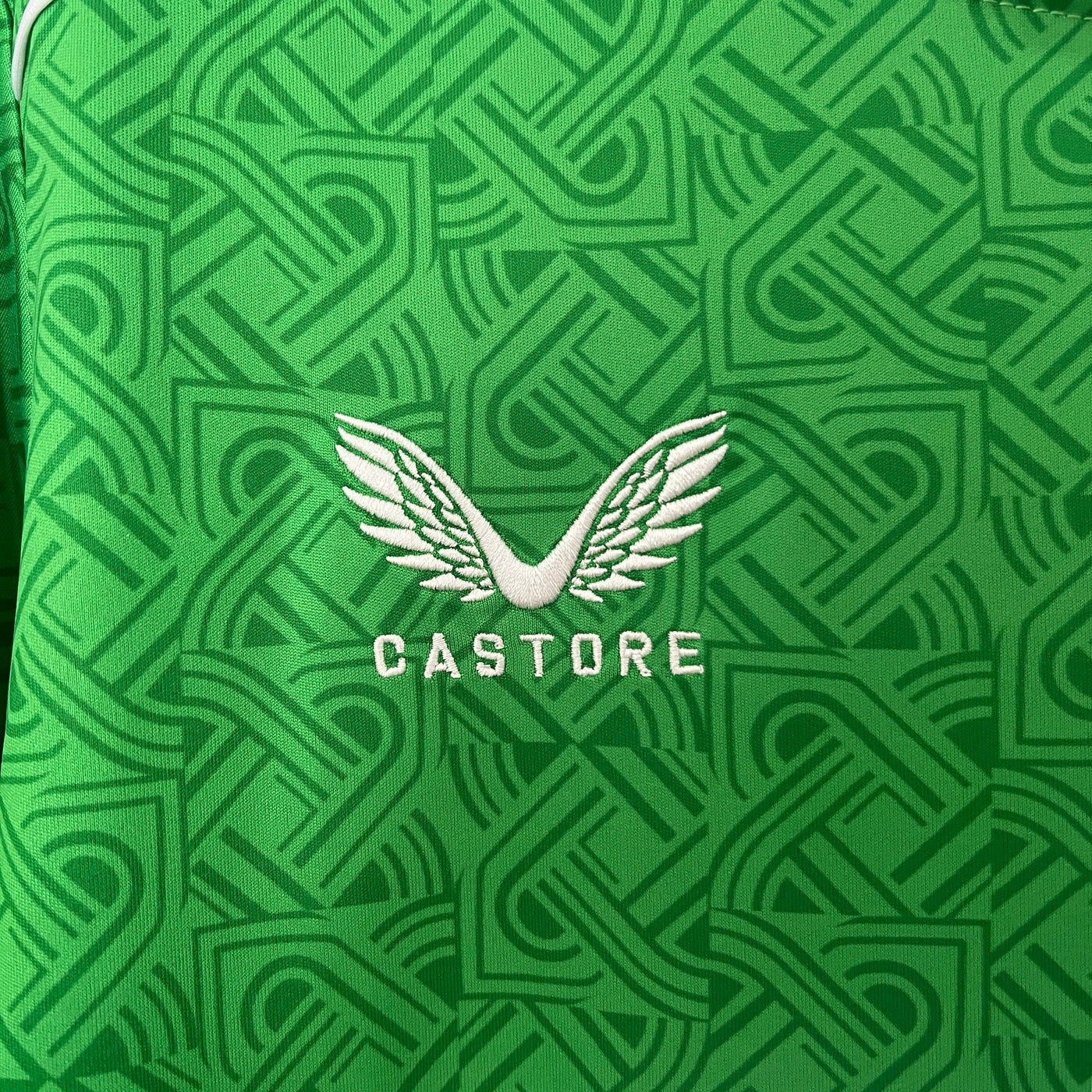 Camiseta local de Irlanda del Sur 2024/2025