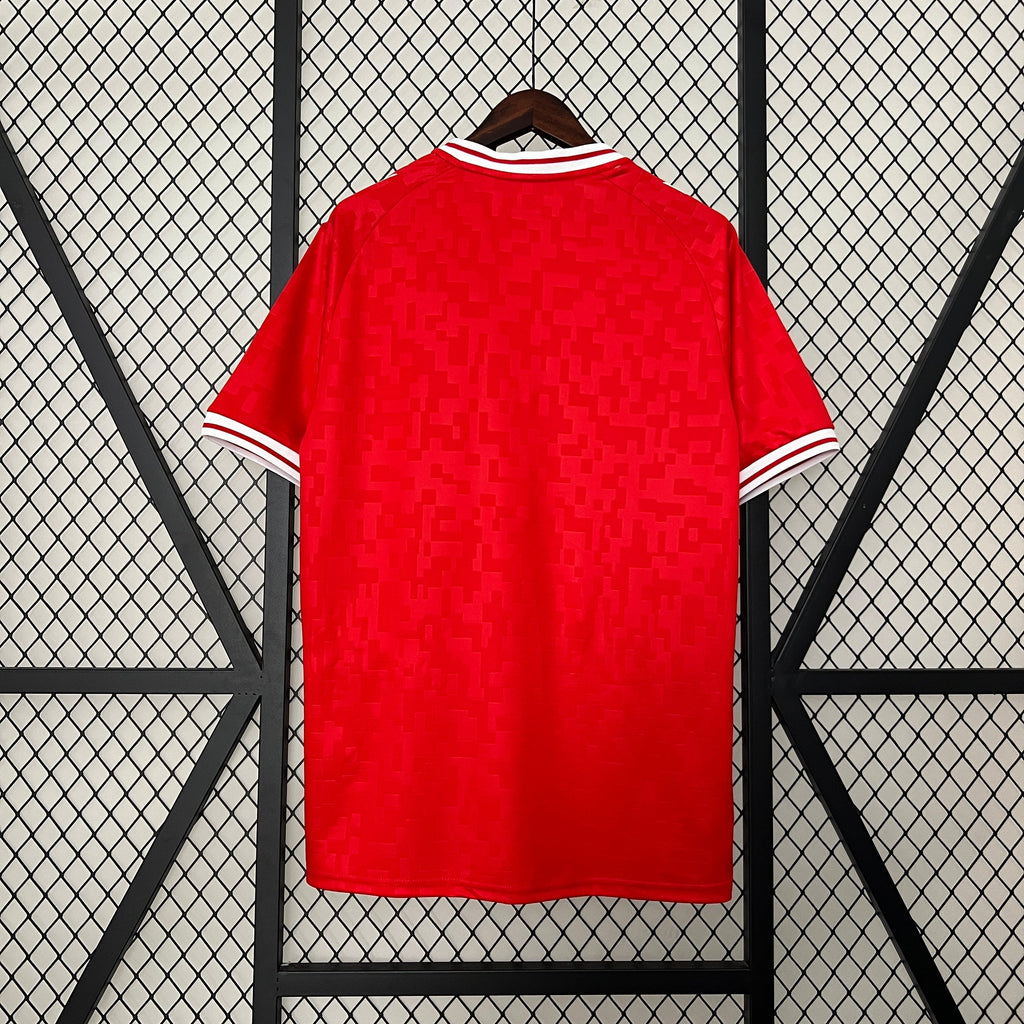 Maillot Danemark Domicile 2024/2025