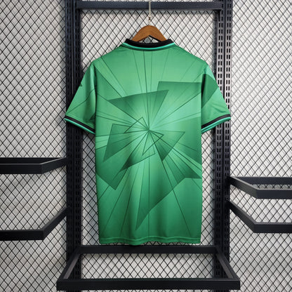 Camiseta Palmeiras 2023 2024