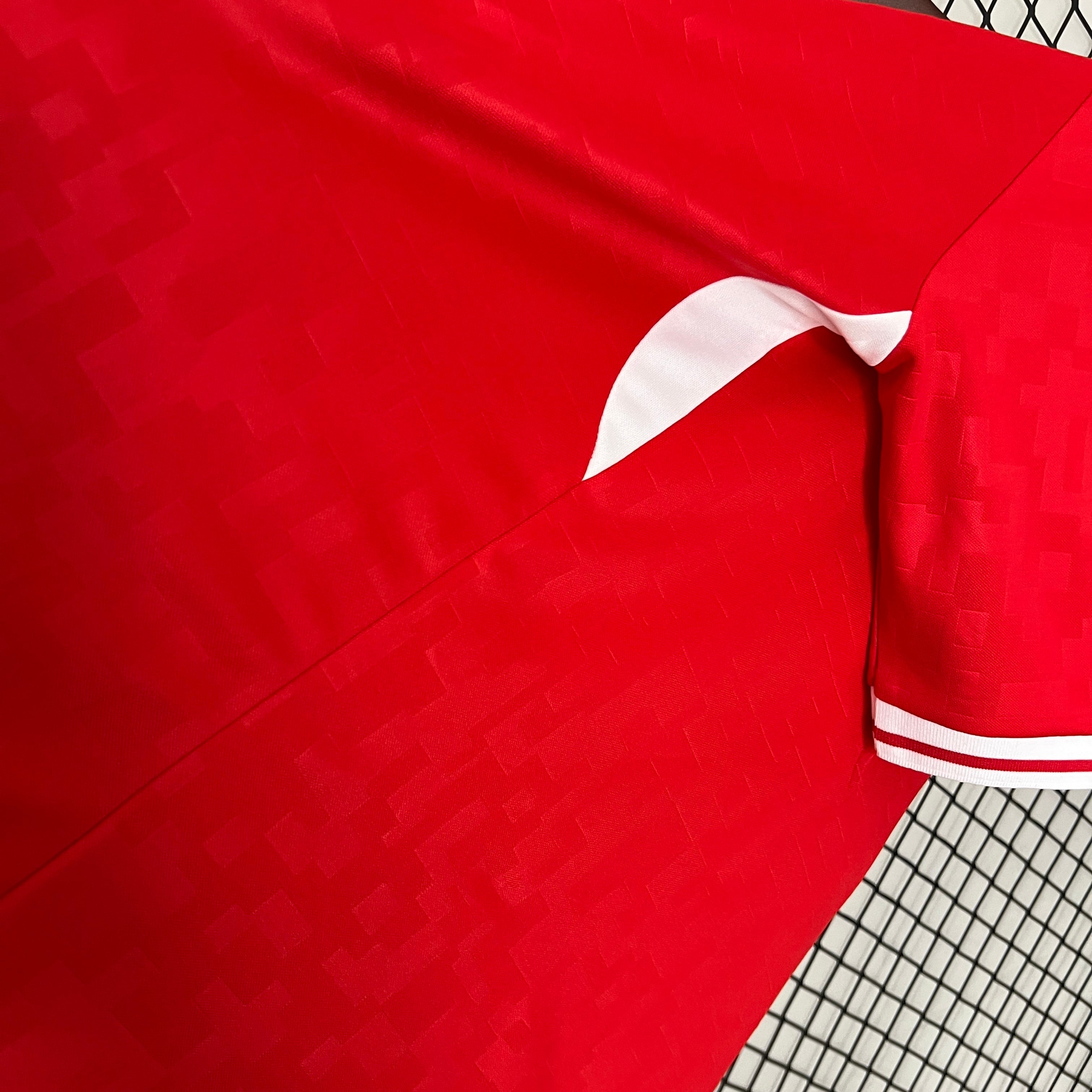 Maglia Danimarca Home 2024/2025
