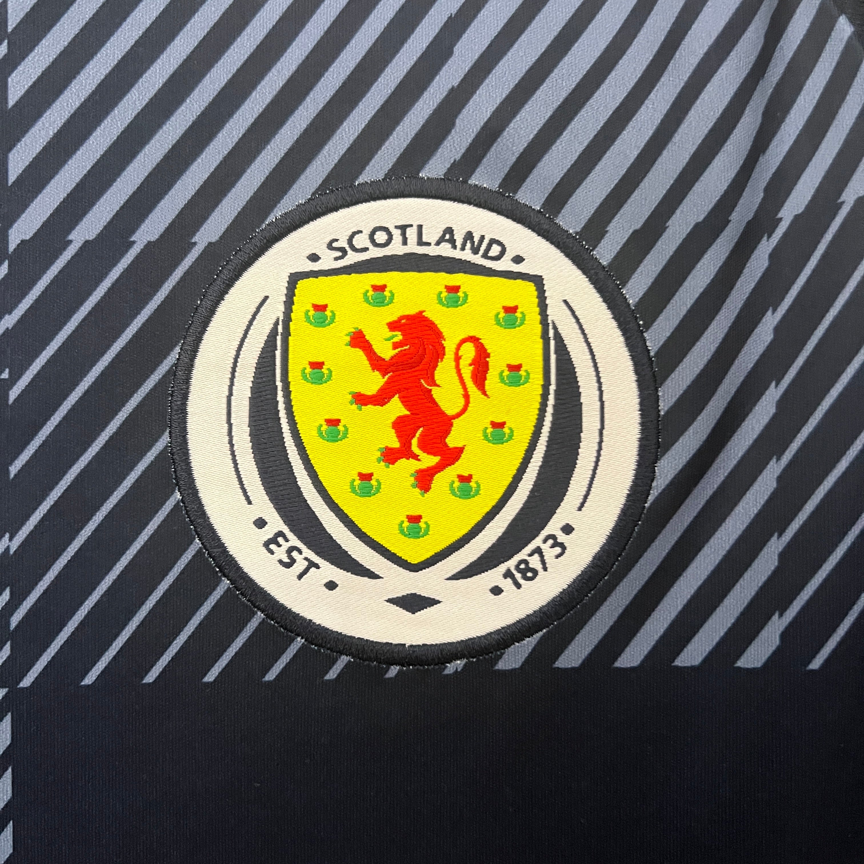 Camiseta Escocia 2024/2025 Local
