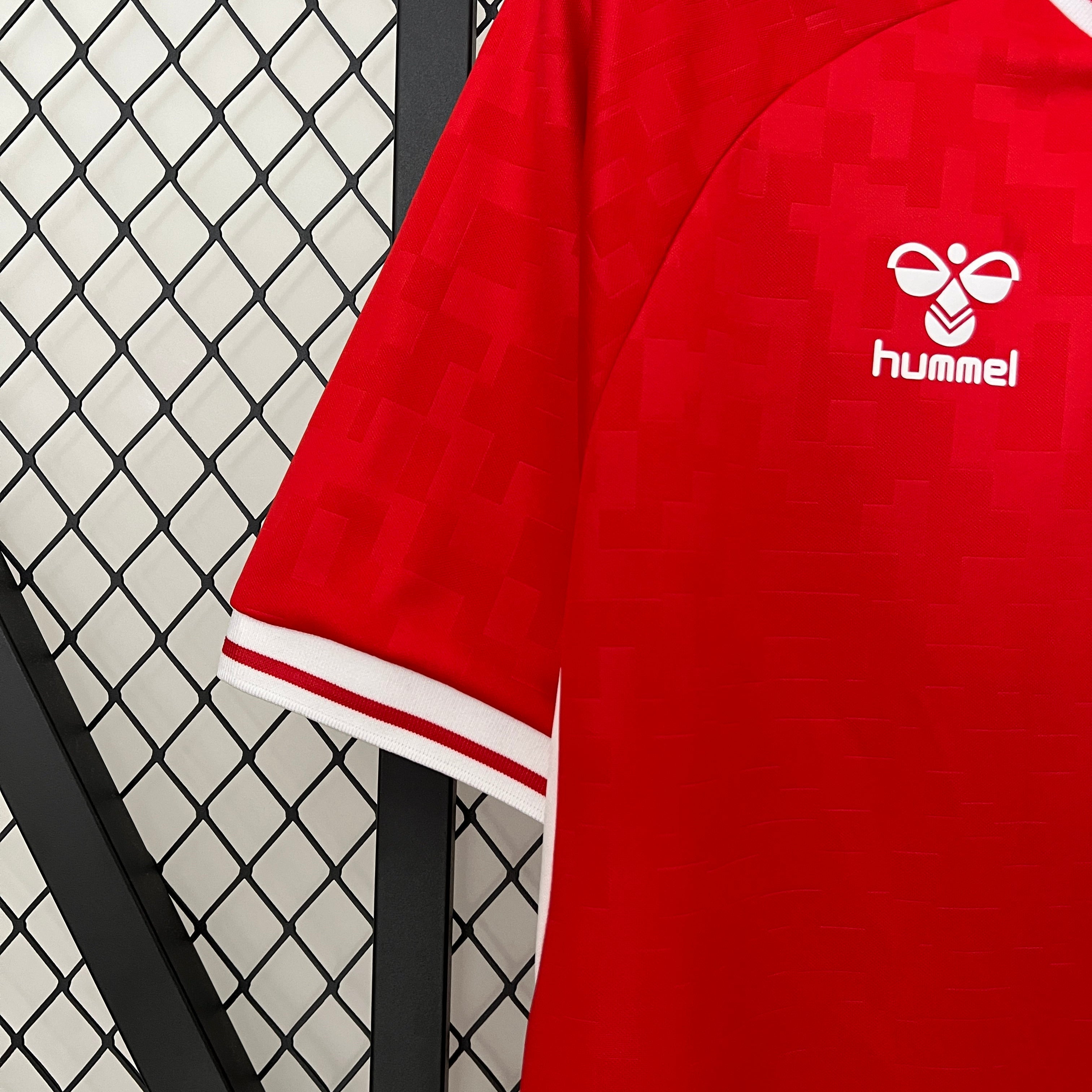 Maglia Danimarca Home 2024/2025