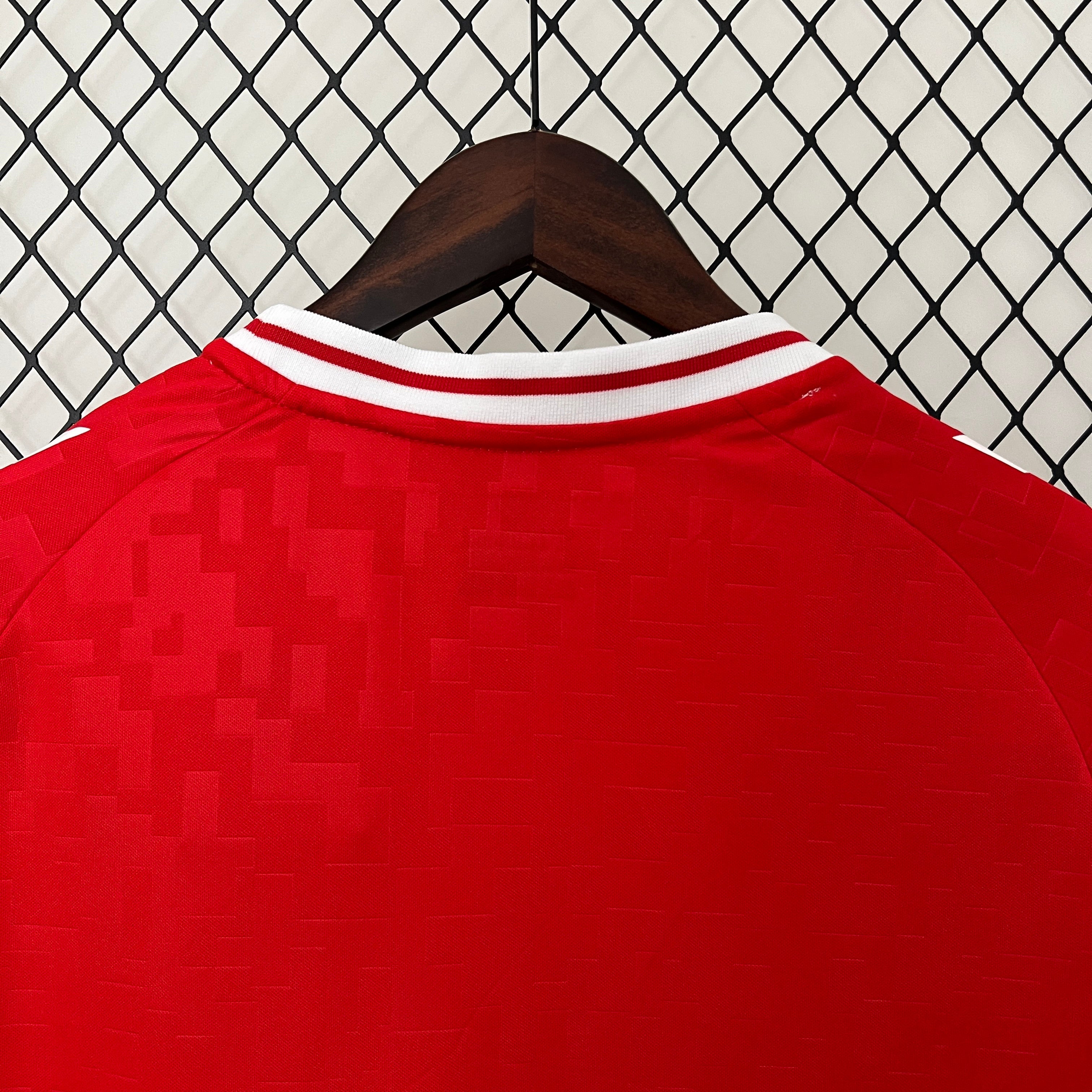Maglia Danimarca Home 2024/2025