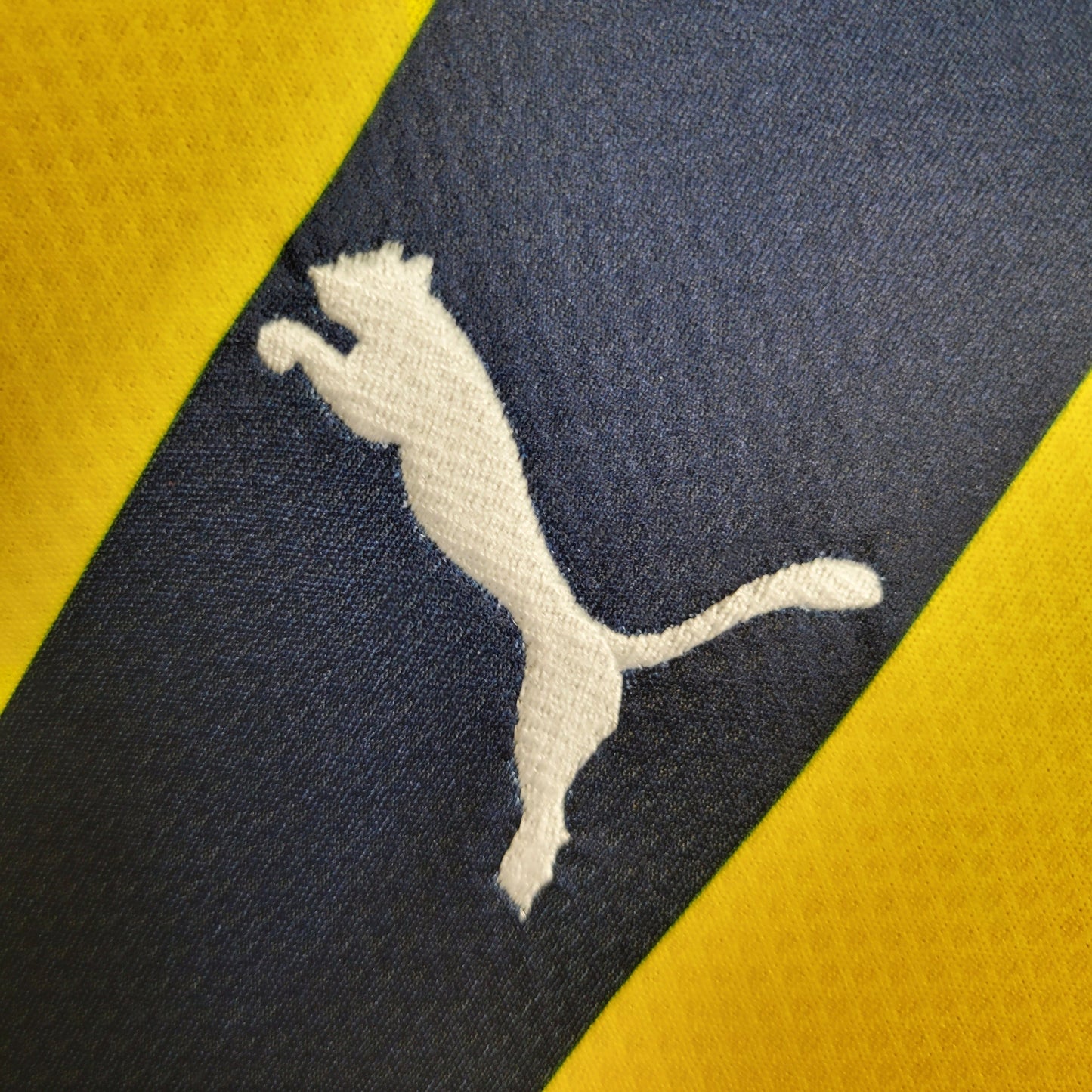 Camiseta Fenerbahçe 2023 2024 local