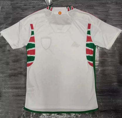 Camiseta de visitante de Gales copa del mundo 2022