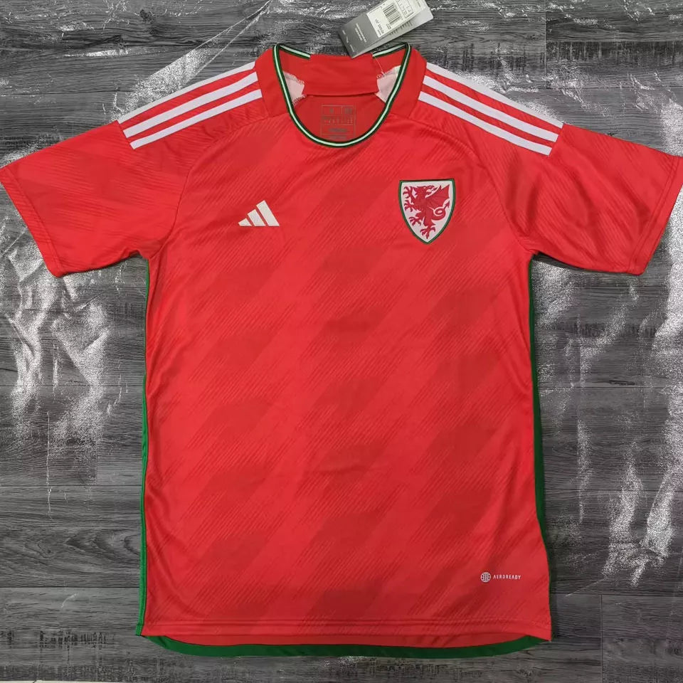 Camiseta de local de Gales copa del mundo 2022